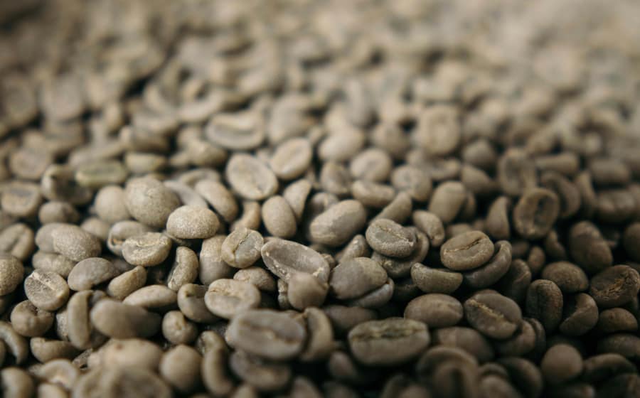 Coban Rainforest Coffee
