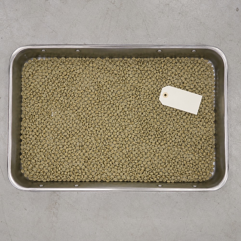 Intake tray